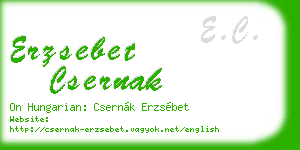 erzsebet csernak business card